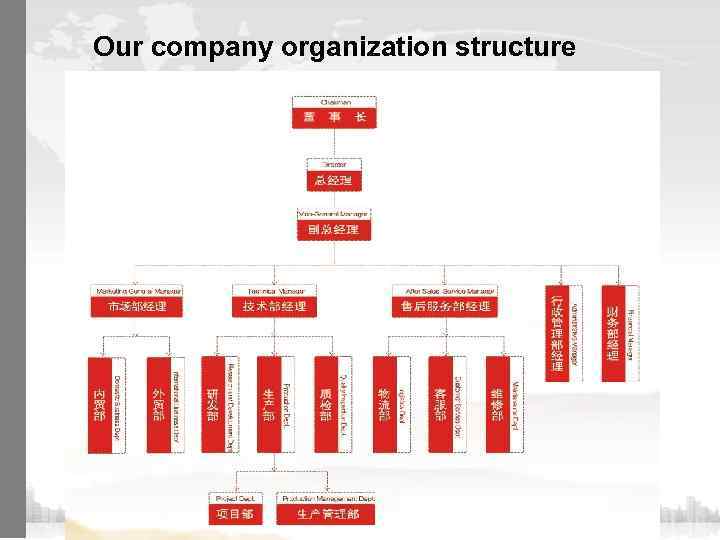 Our company organization structure 