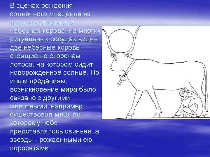 В сценах рождения солнечного младенца из лотоса встречается небесная корова: на многих ритуальных сосудах