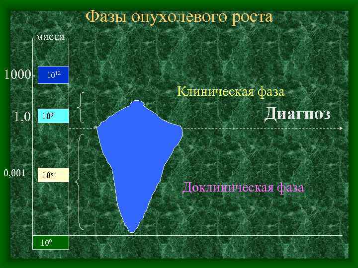 Фазы опухолевого роста масса 1000 - 1012 Клиническая фаза 1, 0 109 0, 001