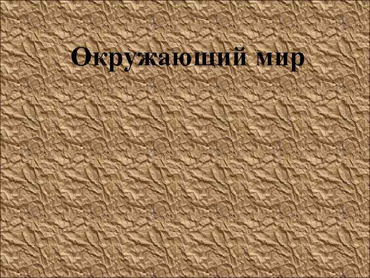 Окружающий мир 