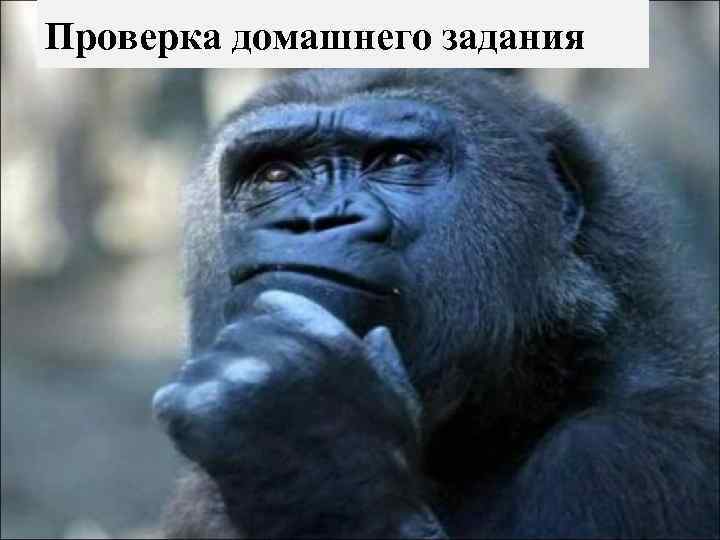 Проверка домашнего задания 