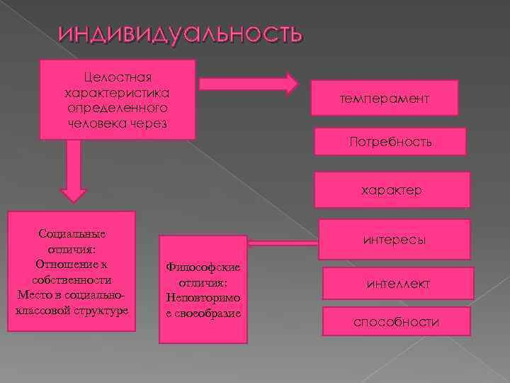 индивидуальность Целостная характеристика определенного человека через темперамент Потребность характер Социальные отличия: Отношение к собственности