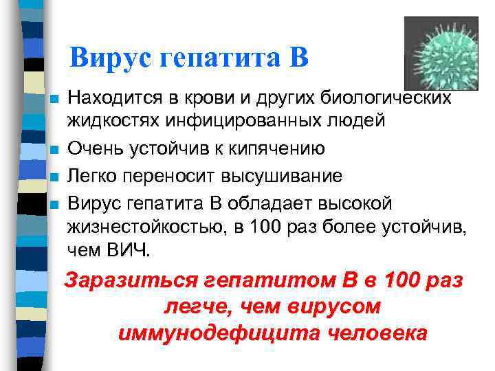 Вирус гепатита В n n Находится в крови и других биологических жидкостях инфицированных людей