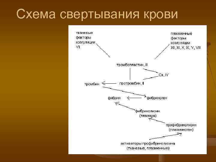 Схема свертывания крови 