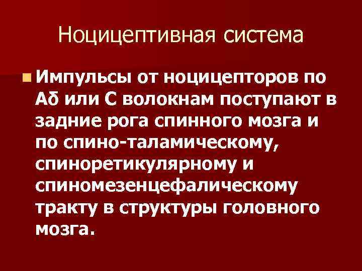 Ноцицептивная система n Импульсы от ноцицепторов по Аδ или С волокнам поступают в задние