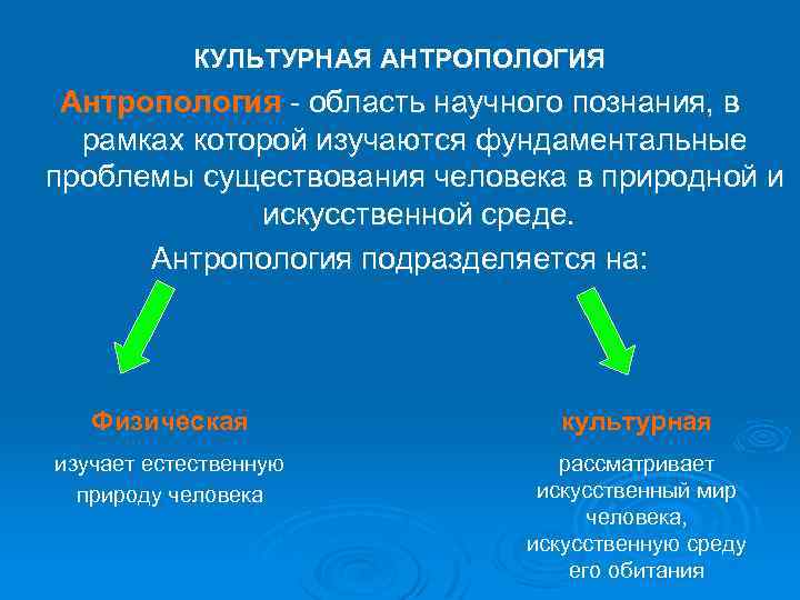 КУЛЬТУРНАЯ АНТРОПОЛОГИЯ Антропология - область научного познания, в рамках которой изучаются фундаментальные проблемы существования