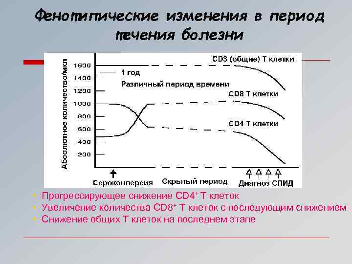 Иммунология репродукции презентация