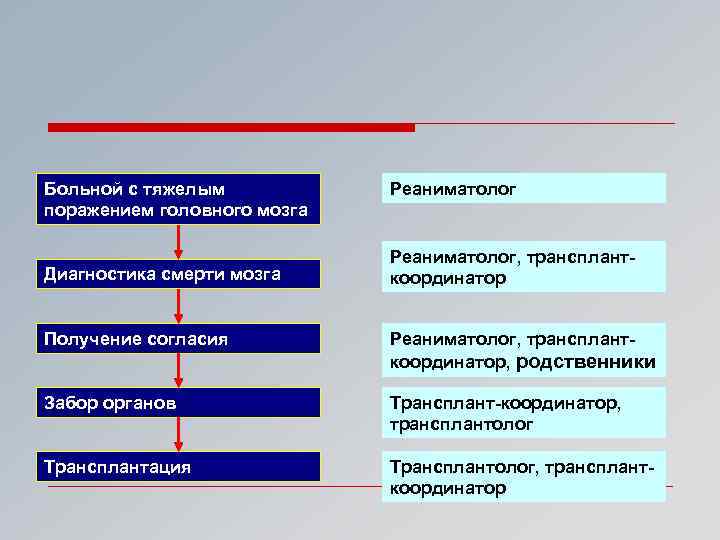 Иммунология репродукции презентация