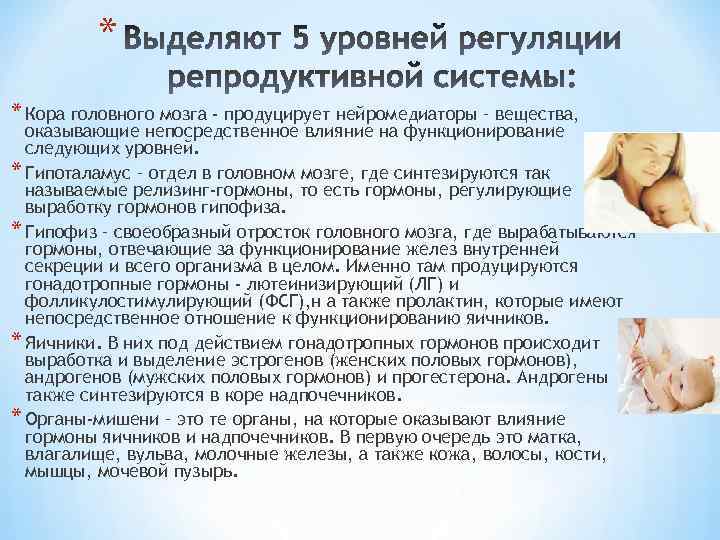 * * Кора головного мозга - продуцирует нейромедиаторы – вещества, оказывающие непосредственное влияние на