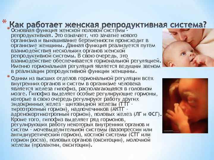 ** Основная функция женской половой системы - репродуктивная. Это означает, что зачатие нового организма