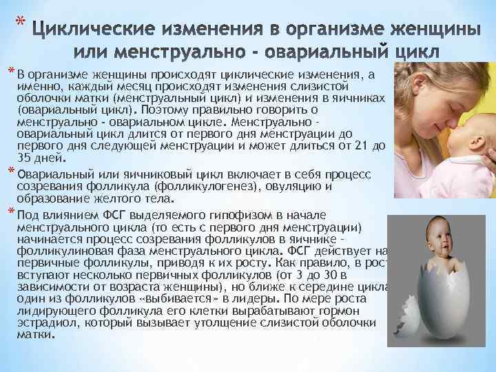 * * В организме женщины происходят циклические изменения, а именно, каждый месяц происходят изменения