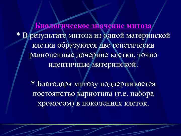 Биологическое значение митоза * В результате митоза из одной материнской клетки образуются две генетически