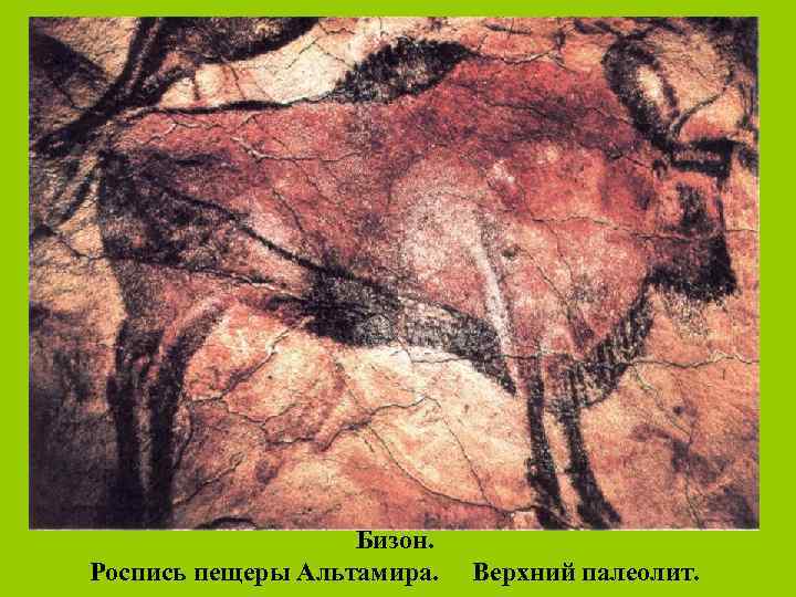 Бизон. Роспись пещеры Альтамира. Верхний палеолит. 