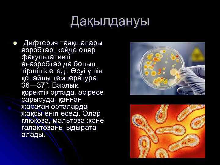 Дақылдануы l Дифтерия таяқшалары аэробтар, кейде олар факультативті анаэробтар да болып тіршілік етеді. Өсуі
