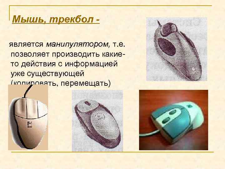 Мышь, трекбол является манипулятором, т. е. позволяет производить какието действия с информацией уже существующей