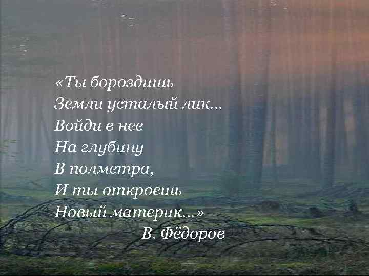  «Ты бороздишь Земли усталый лик… Войди в нее На глубину В полметра, И