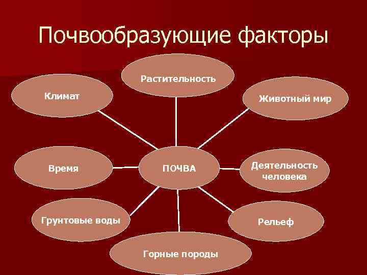 Почвообразующие факторы Растительность Климат Время Животный мир ПОЧВА Грунтовые воды Деятельность человека Рельеф Горные