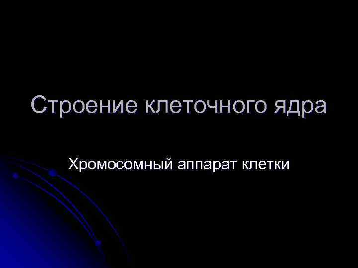 Строение клеточного ядра Хромосомный аппарат клетки 