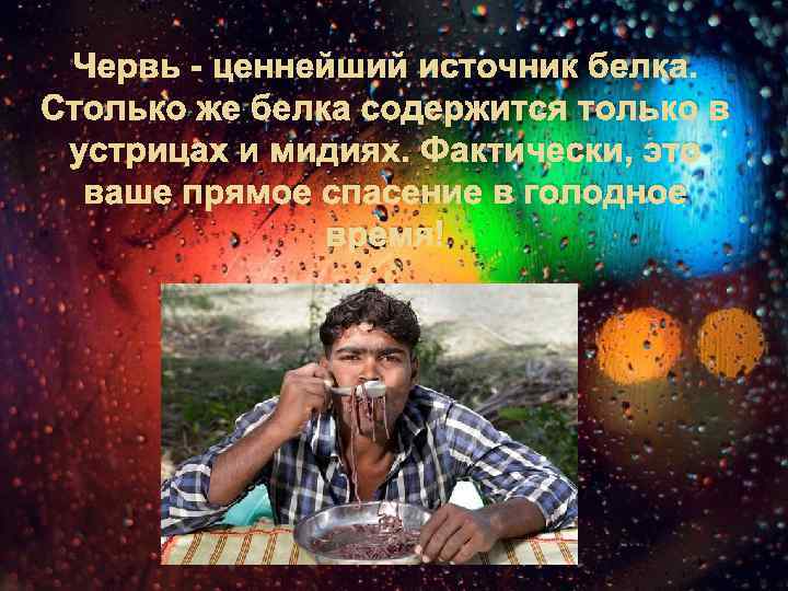 Червь - ценнейший источник белка. Столько же белка содержится только в устрицах и мидиях.