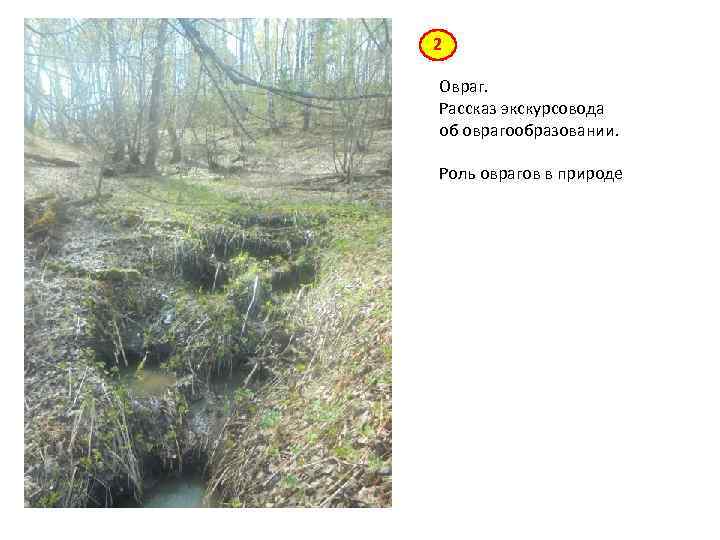 2 Овраг. Рассказ экскурсовода об оврагообразовании. Роль оврагов в природе 