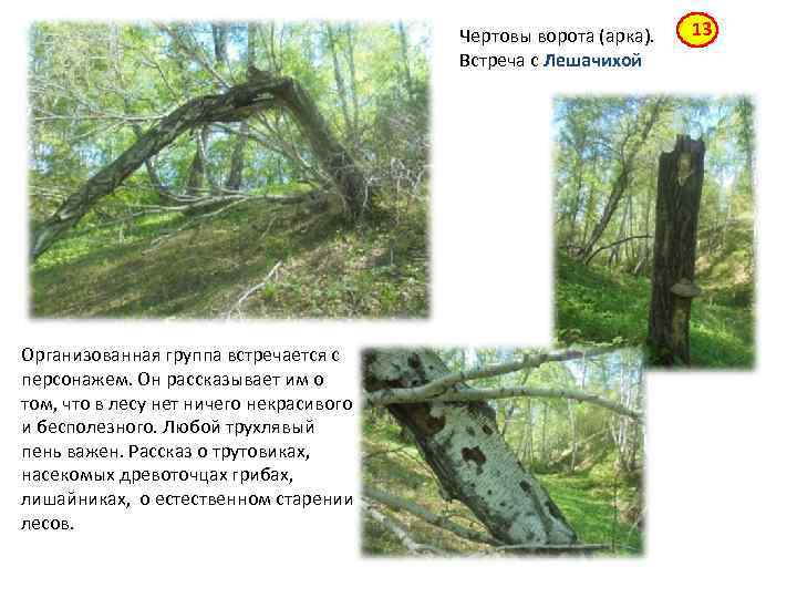 Чертовы ворота (арка). Встреча с Лешачихой Организованная группа встречается с персонажем. Он рассказывает им