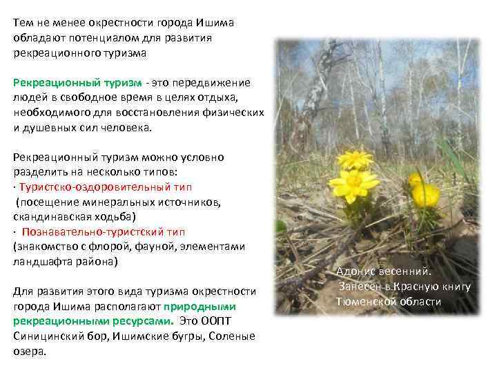 Тем не менее окрестности города Ишима обладают потенциалом для развития рекреационного туризма Рекреационный туризм