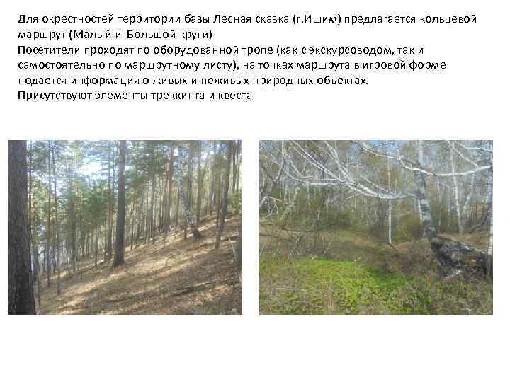 Для окрестностей территории базы Лесная сказка (г. Ишим) предлагается кольцевой маршрут (Малый и Большой