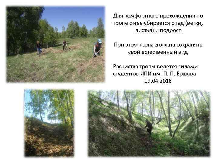 Для комфортного прохождения по тропе с нее убирается опад (ветки, листья) и подрост. При