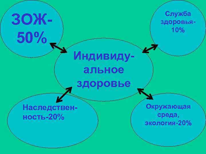 Служба здоровья 10% ЗОЖ 50% Индивидуальное здоровье Наследственность-20% Окружающая среда, экология-20% 