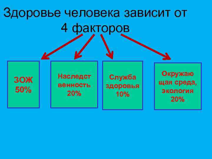 Здоровье человека зависит от 4 факторов ЗОЖ 50% Наследст венность 20% Служба здоровья 10%