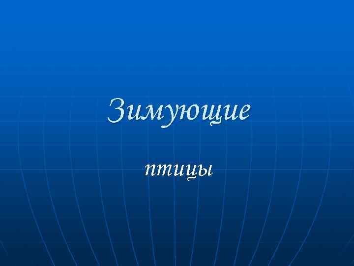 Зимующие птицы 