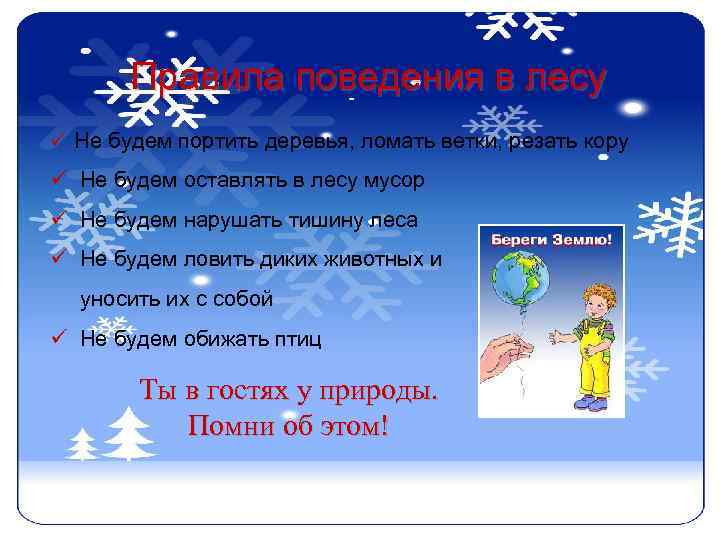 Правила поведения в лесу ü Не будем портить деревья, ломать ветки, резать кору ü