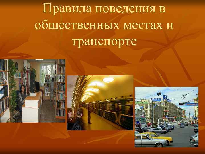 Правила поведения в общественных местах и транспорте 
