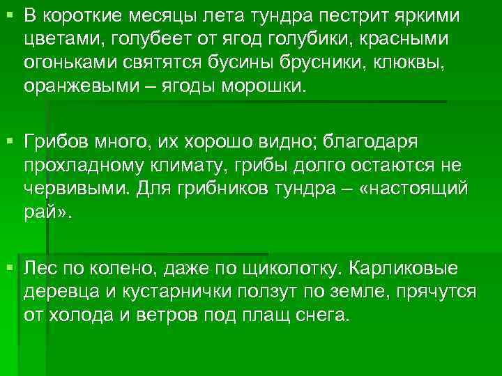 § В короткие месяцы лета тундра пестрит яркими цветами, голубеет от ягод голубики, красными