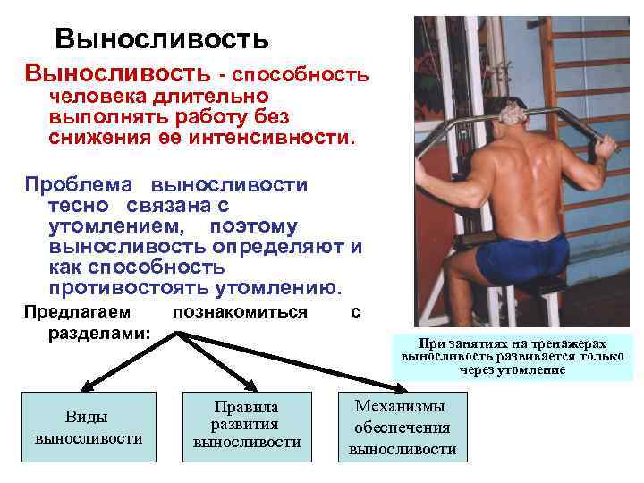 Способность противостоять мышечному утомлению