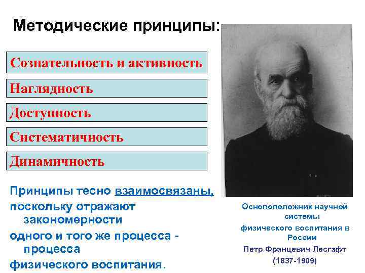 Методические принципы: Сознательность и активность Наглядность Доступность Систематичность Динамичность Принципы тесно взаимосвязаны, поскольку отражают