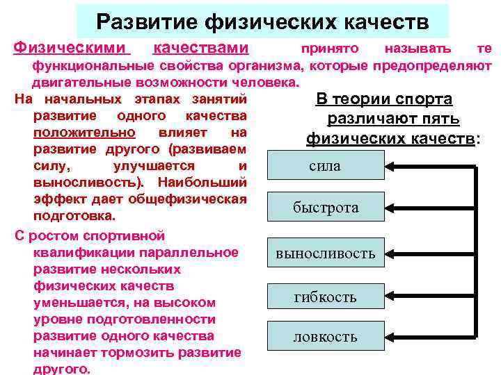 Физическое развитие организма. Развитие физических качеств. Развитие основных физических качеств. Совершенствование физических качеств. Характеристика основных физических качеств.