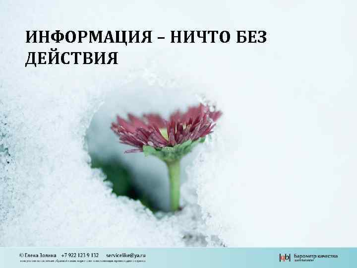 ИНФОРМАЦИЯ – НИЧТО БЕЗ ДЕЙСТВИЯ 
