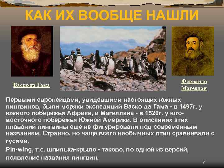 КАК ИХ ВООБЩЕ НАШЛИ Васко да Гама Фернандо Магеллан Первыми европейцами, увидевшими настоящих южных