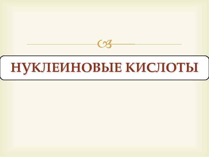  НУКЛЕИНОВЫЕ КИСЛОТЫ 