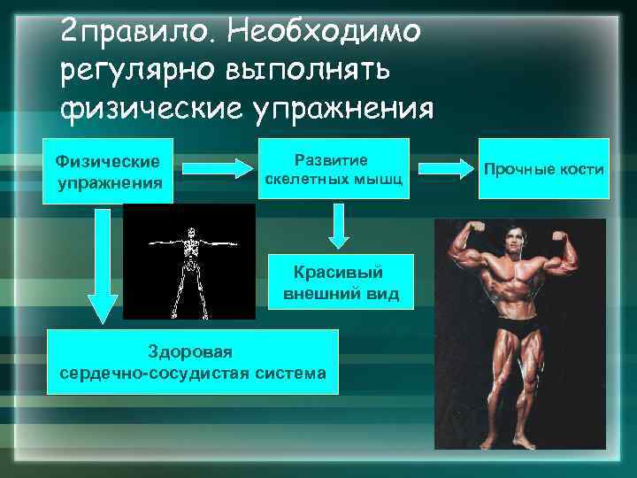 2 правило. Необходимо регулярно выполнять физические упражнения Физические упражнения Развитие скелетных мышц Красивый внешний