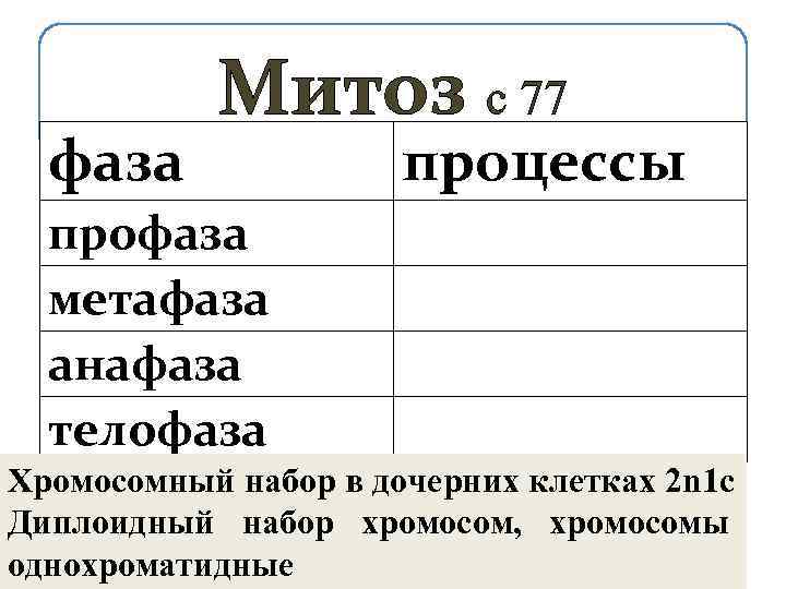 фаза Митоз с 77 процессы профаза метафаза анафаза телофаза Хромосомный набор в дочерних клетках