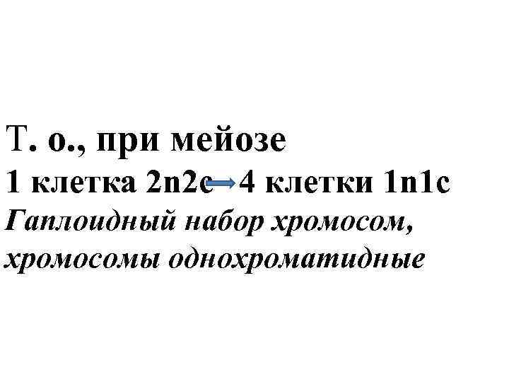 Т. о. , при мейозе 1 клетка 2 n 2 c 4 клетки 1