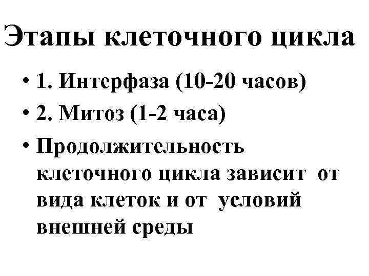 Этапы клеточного цикла • 1. Интерфаза (10 -20 часов) • 2. Митоз (1 -2