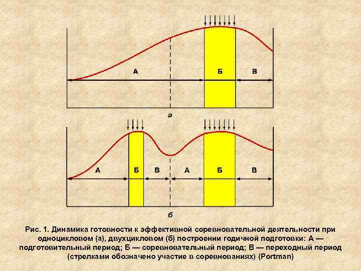 Рис. 1. Динамика готовности к эффективной соревновательной деятельности при одноцикловом (а), двухцикловом (б) построении