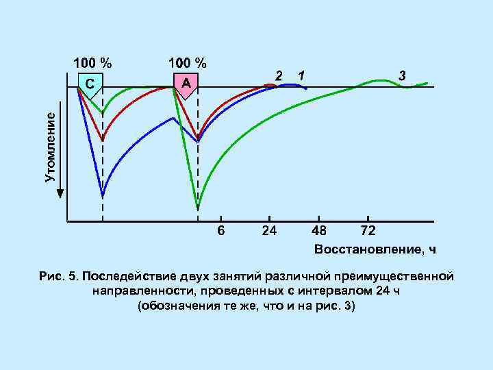 Рис. 5. Последействие двух занятий различной преимущественной направленности, проведенных с интервалом 24 ч (обозначения