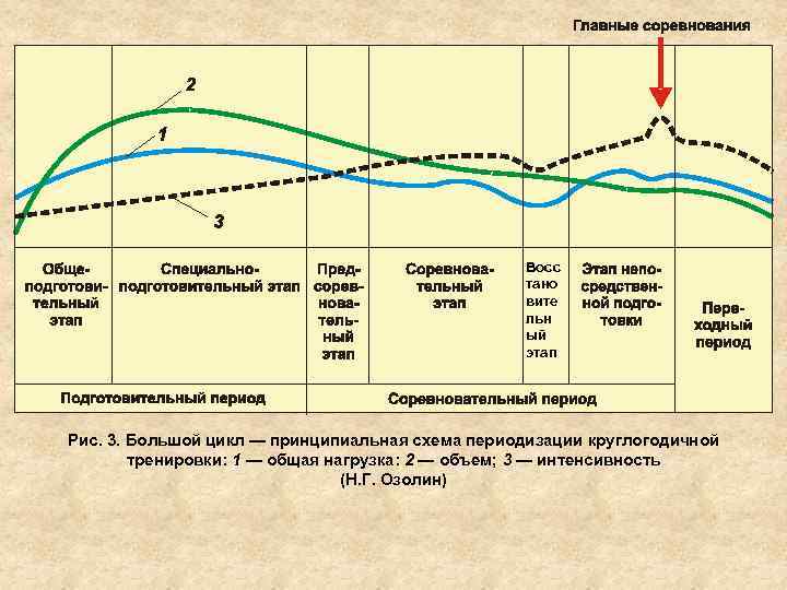 Восс тано вите льн ый этап Рис. 3. Большой цикл — принципиальная схема периодизации