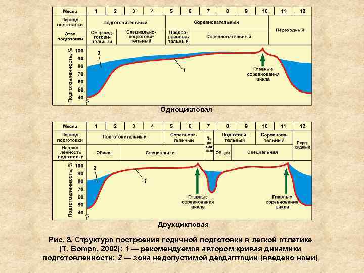 Одноцикловая Двухцикловая Рис. 8. Структура построения годичной подготовки в легкой атлетике (Т. Bompa, 2002):