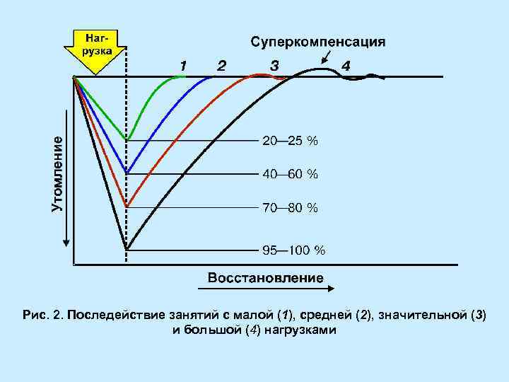 Рис. 2. Последействие занятий с малой (1), средней (2), значительной (3) и большой (4)