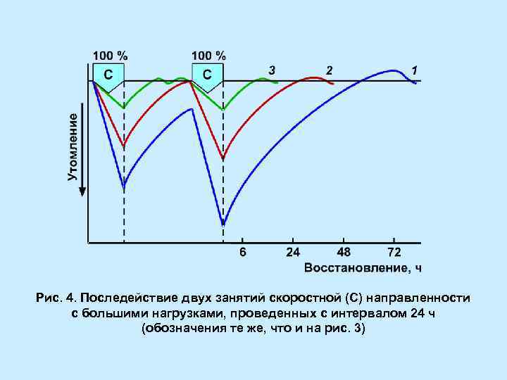 Рис. 4. Последействие двух занятий скоростной (С) направленности с большими нагрузками, проведенных с интервалом